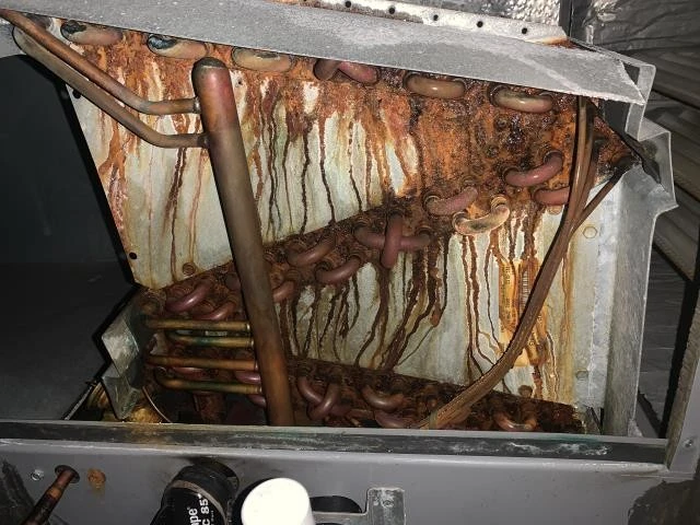 Holy City technician's close-up of a diagnosed leaking evaporator coil during an AC repair